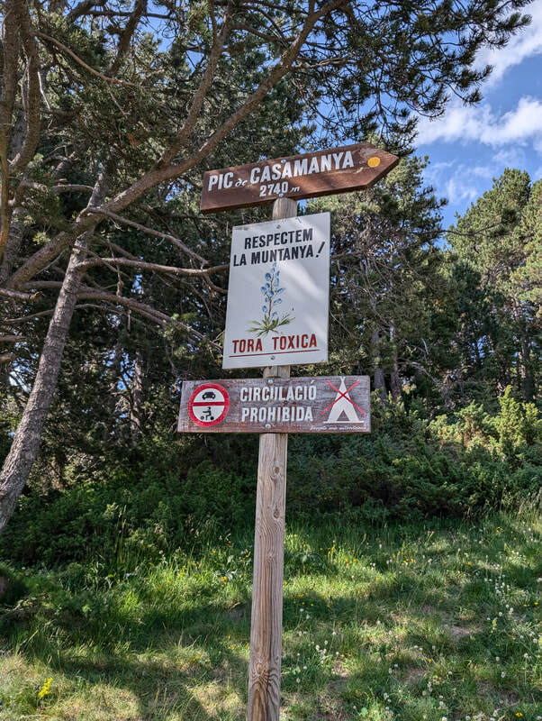 Warning sign for toxic flowers