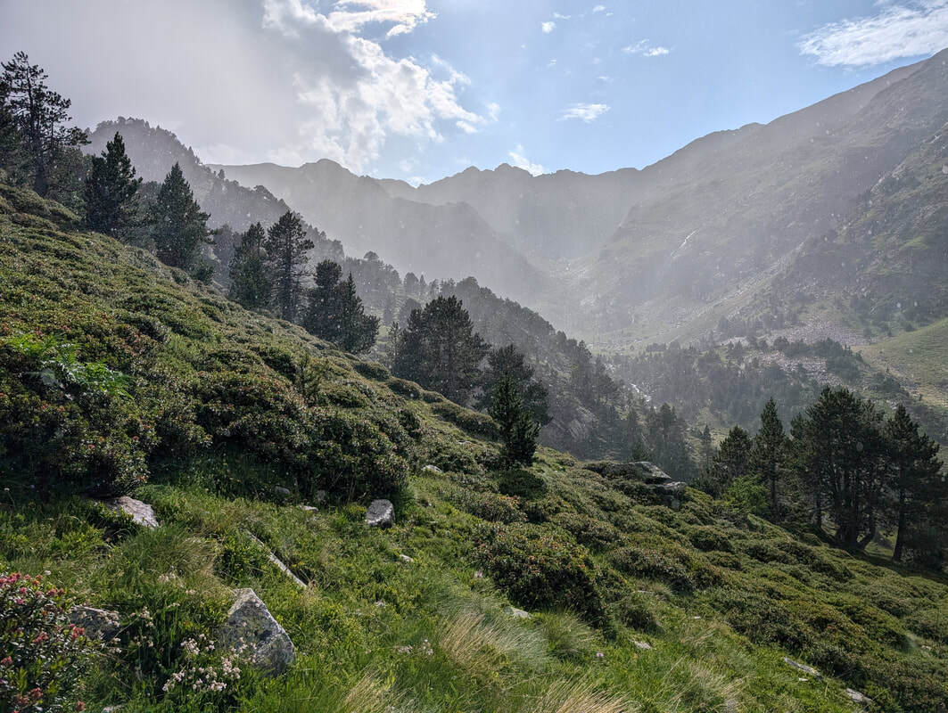 Falling rain illuminated by the sun