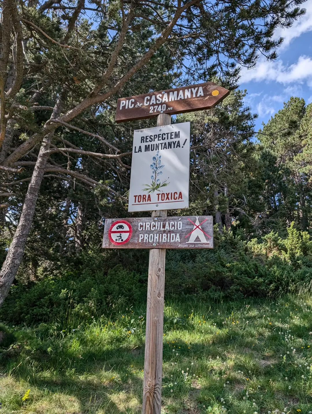 Warning sign for toxic flowers