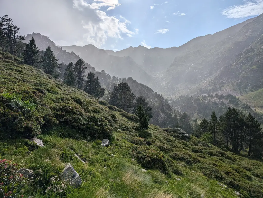 Falling rain illuminated by the sun