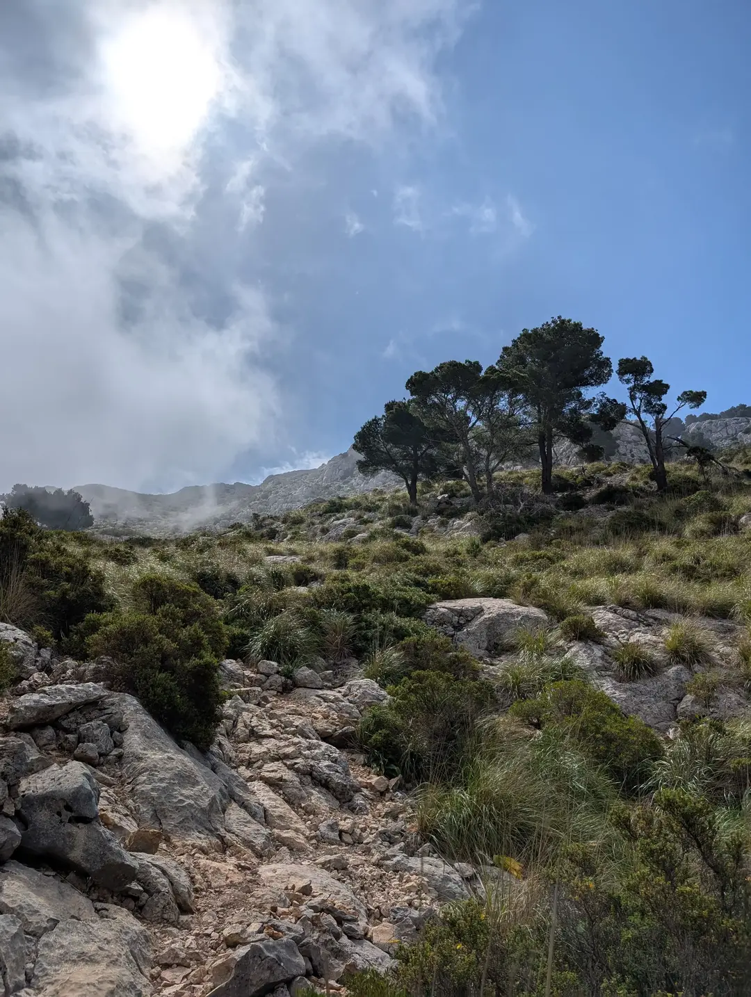Clouds clearing on a mountainside