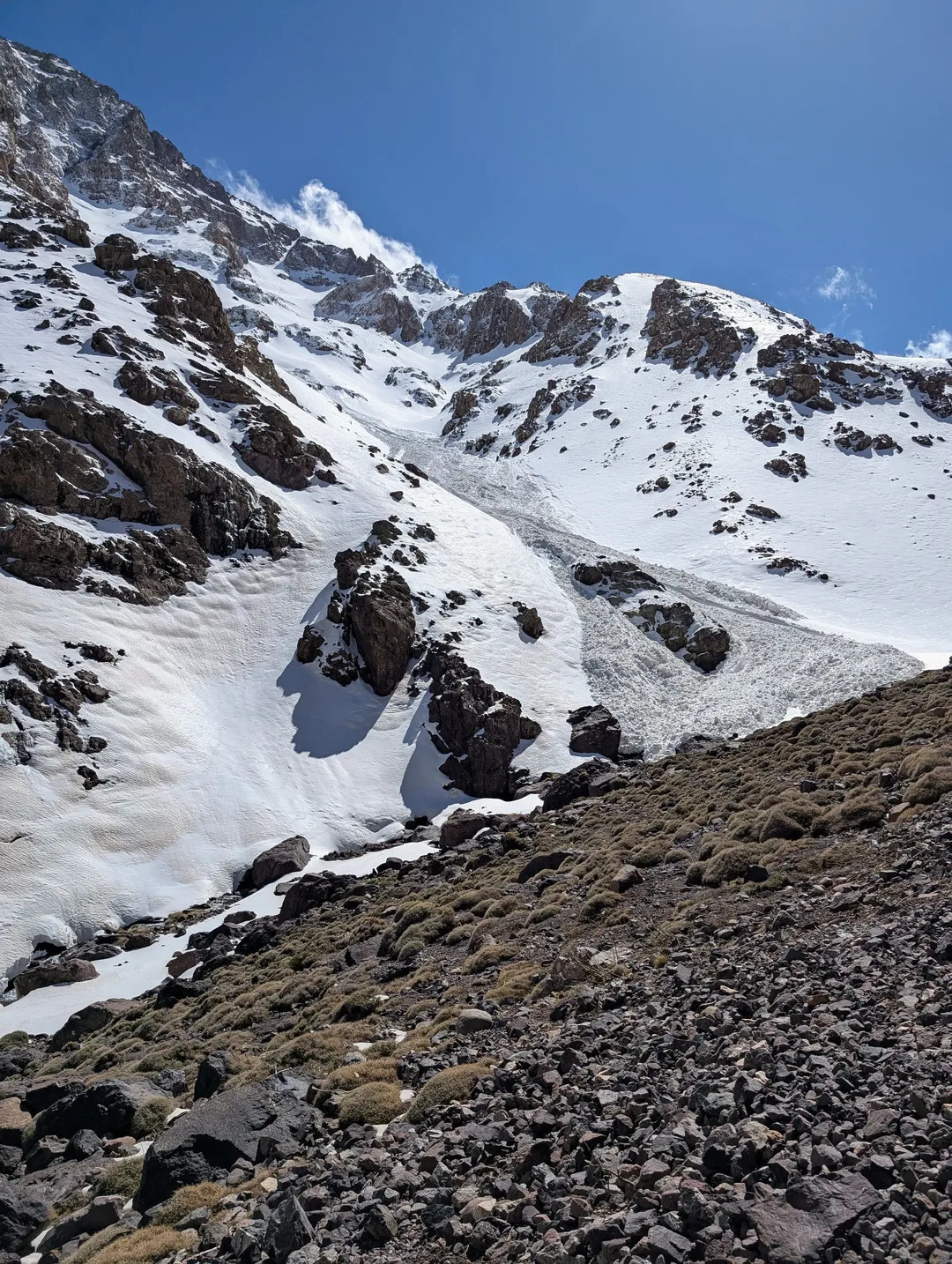 Signs of a recent avalanche on a mountainside